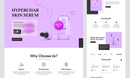 Web Development by Steve