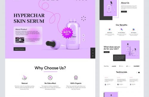 Web Development by Steve