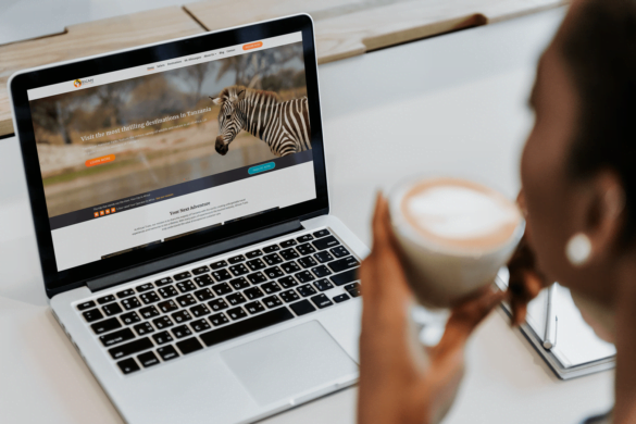 African Traits Safaris - Website design